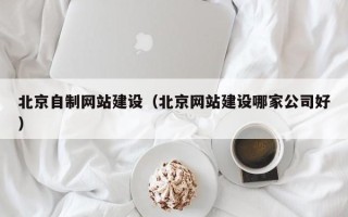 陆丰北京自制网站建设（北京网站建设哪家公司好）